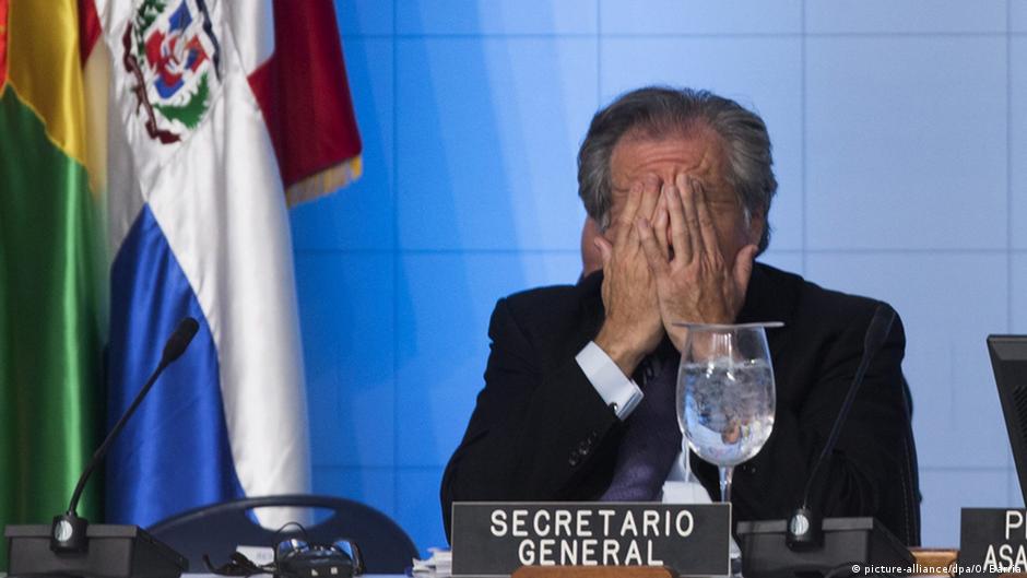 Bolivia acusa a Luis Almagro de ″injerencia″ ante la OEA | Las noticias y análisis más importantes en América Latina | DW - Vimarsana News