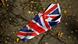 London Brexit Referendum - a British flag washed away by the rain, Copyright: Reuters/R. Krause London Brexit Referendum - a British flag washed away by the rain, Copyright: Reuters/R. Krause