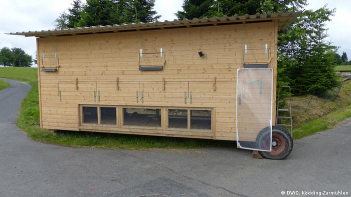 An henhouse of the Community Supported Agriculture in Bonn (Photo: Oleg Ködding-Zurmühlen / DW)
