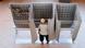 A woman prepares her ballot at a polling station (photo: Reuters/A. Comas) A woman prepares her ballot at a polling station (photo: Reuters/A. Comas)
