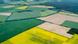 Deutschland Agrarlandschaft mit gelben Rapsfeldern in Brandenburg Deutschland Agrarlandschaft mit gelben Rapsfeldern in Brandenburg