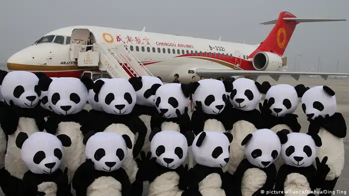 China Chengdu Pandabären aus Stoff vor Flugzeug