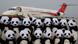 China Chengdu Pandabären aus Stoff vor Flugzeug China Chengdu Pandabären aus Stoff vor Flugzeug