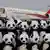 China Chengdu Pandabären aus Stoff vor Flugzeug