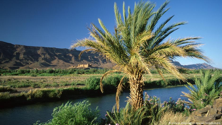 World in Progress: Exploring Morocco's Draa River valley