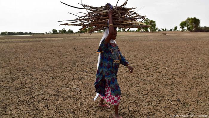 A woman carries firewood on her head on the dried banks of the Yobe River in southeast Niger