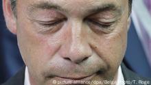 Eurodiputada de UKIP condenada por difamar a colegas
