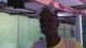 DW Eco Hero Waste - Vernon Krah, Liberia DW Eco Hero Waste - Vernon Krah, Liberia