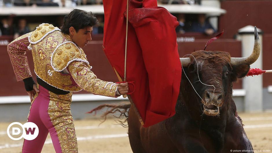 Torero Bei Stierkampf In Spanien Getotet Aktuell Europa Dw 10 07 2016