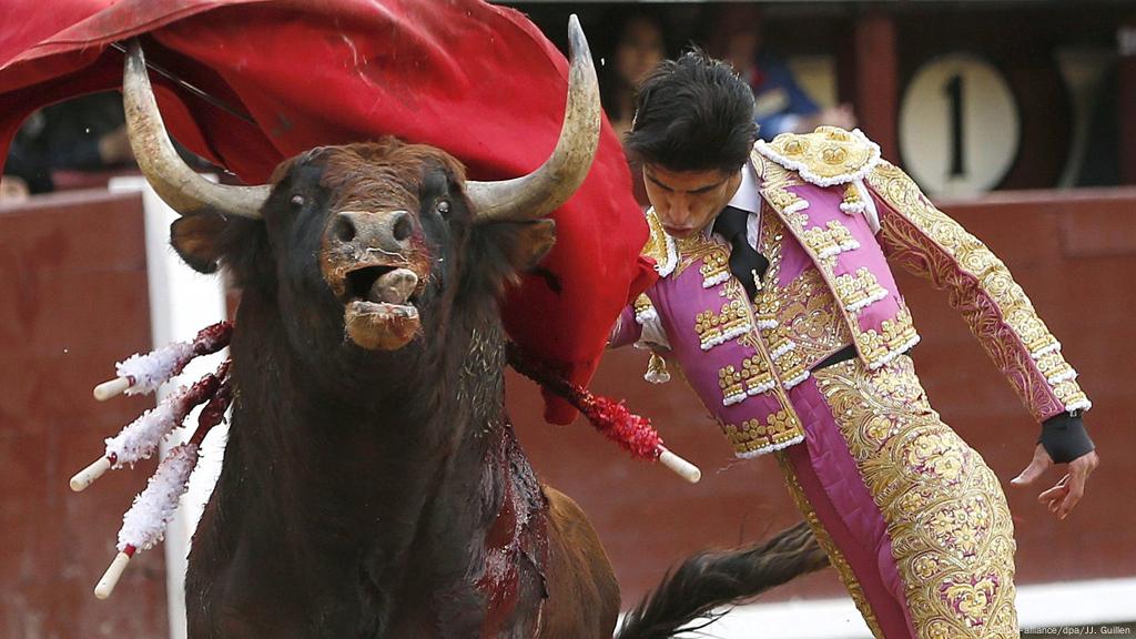 bullfighting in spain accidents