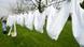 Kochwäsche im Garten auf der Leine (Foto: dpa) Kochwäsche im Garten auf der Leine (Foto: dpa)