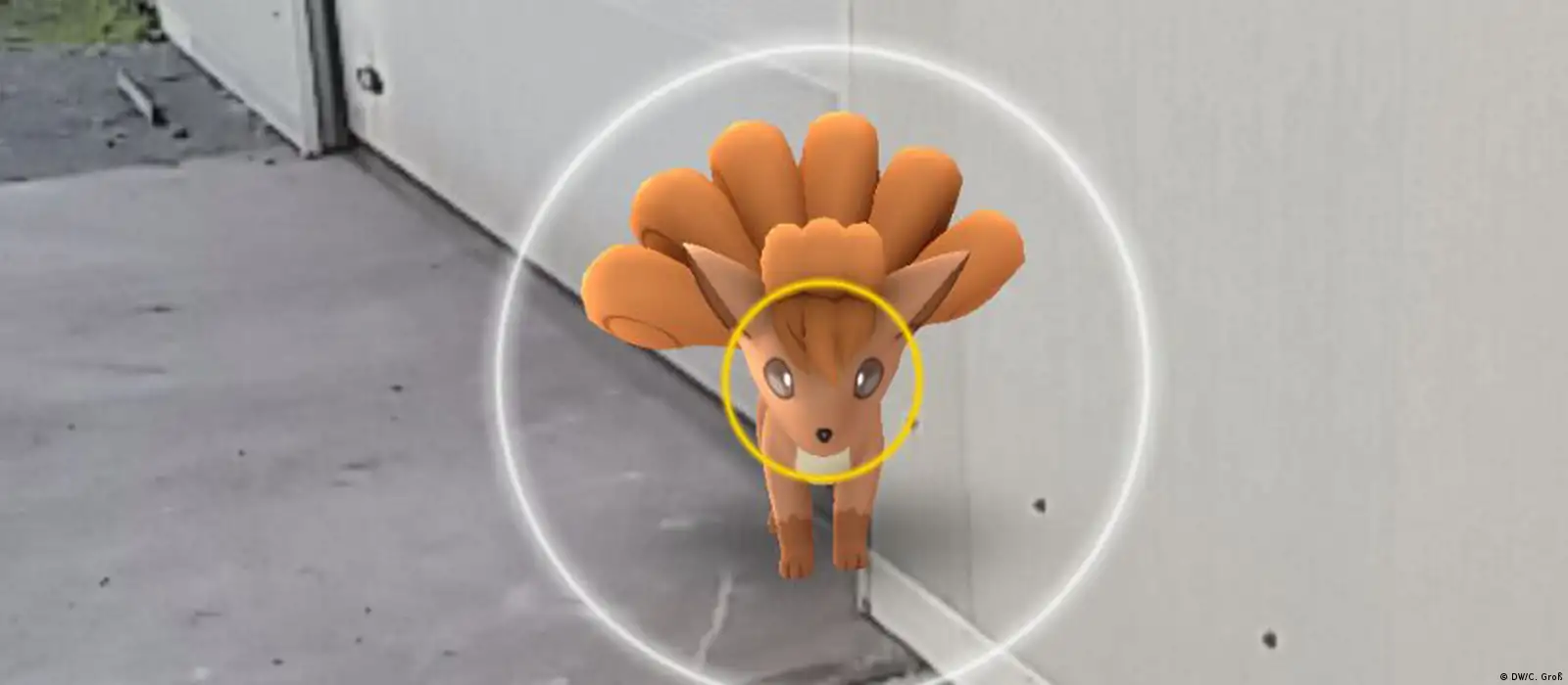 \, image size:1600x700