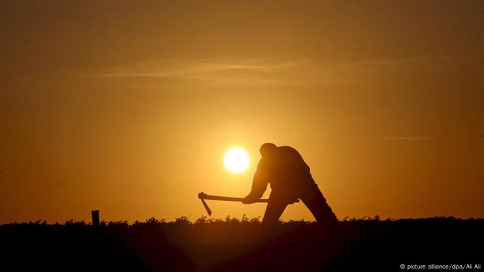 Palestinian peasant in Gaza 