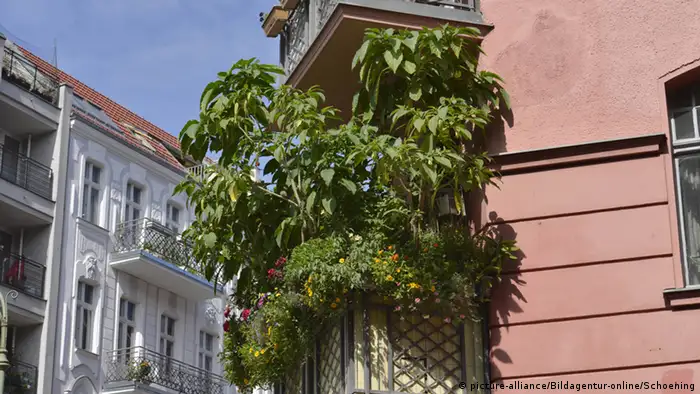 Balkone
Laut einer Erhebung des Statistik-Portals Statista aus dem Jahre 2015 wohnen 48 Prozent der Deutschen zur Miete, und 52 Prozent sind Eigentümer - viel mehr als noch zwei Jahre zuvor. Die meisten Mieter leben in Wohnungen - gerne mit Balkon, der im Sommer zur grünen Oase in der Stadt wird. 