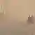 Iran KW 28 Sandsturm