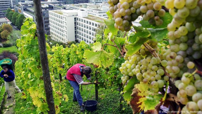 Deutschland 10 Gründe für Stuttgart (picture-alliance/dpa/B. Weißbrod)