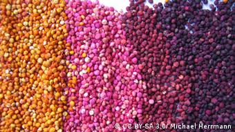 Verschiedenfarbiges Quinoa liegt nebeneinander