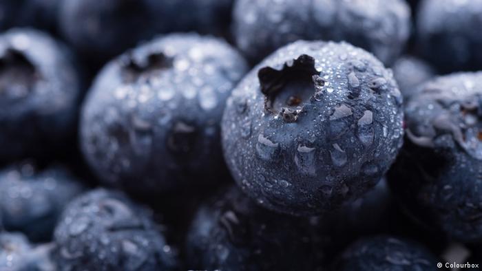  Боровинките са измежду плодовете с най-високо наличие на антиоксидантни и хранителни субстанции. Може би това е една от аргументите в немския град Егезин, провинция Мекленбург-Предна Померания, именуван още градът на боровинките, всяка година да се организира фестивал на боровинките, по време на който обичайно се избира и Кралица на боровинките. 