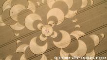 26.07.2016 *** dpatopbilder Interessierte durchstreifen am 26.07.2016 einen Kornkreis in einem Weizenfeld in der Nähe von Mammendorf (Bayern). Das Muster hat einen Durchmesser von 180 Metern. Foto: Sven Hoppe/dpa (Luftaufnahme mit einer Drohne) +++(c) dpa - Bildfunk+++ Copyright: picture-alliance/dpa/S. Hoppe