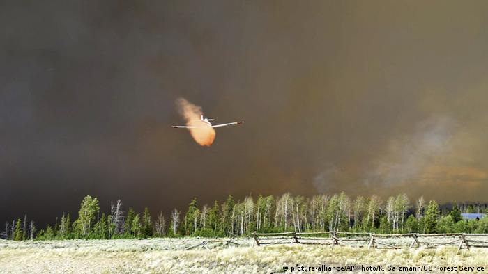 BdW Global Ideas Bild der Woche KW 30/2016 Wyoming Waldbrände (picture-alliance/AP Photo/K. Salzmann/US Forest Service)