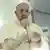 Polen Papst Franziskus im Flug nach Rom