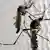 Moskitos Aedes aegypti