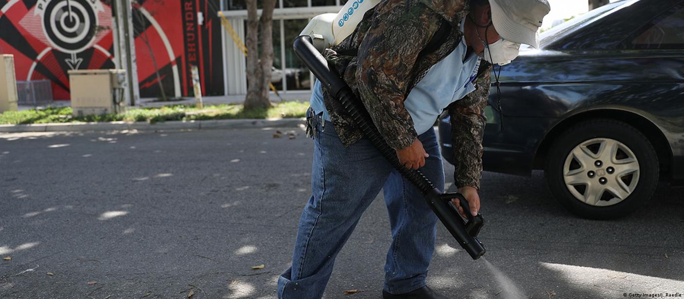 Zika will spread further than Florida,' says German expert – DW