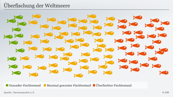 Infografik Fischbestand