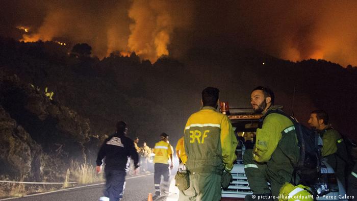 Spanien Brände in La Palma