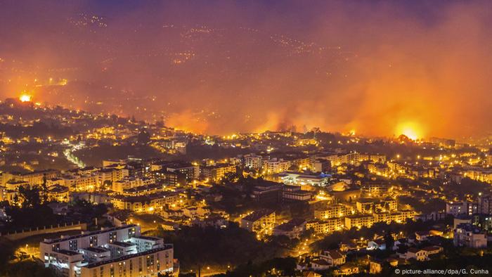 Fires Caused Forest Loss The Size Of New Zealand In 2016 Environment All Topics From Climate Change To Conservation Dw 24 10 2017