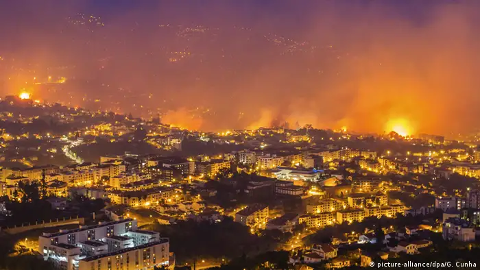 Forest fire in Funchal, Madeira Island, Portugal, 09 August 2016 (Photo: picture-alliance/dpa/G. Cunha)