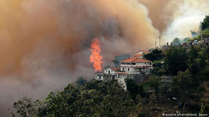 Portugal Madeira Waldbrände