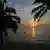 Sonnenaufgang am Strand mit Palmen