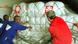 Caritas workers unloading relief cargo for a volcano eruption in Congo
