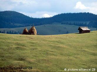 Romanian countryside