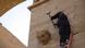 Ein IS-Kämpfer zerstört Teile des UNESCO-Welterbes in der antiken Wüstenstadt Hatra im Irak, Foto: picture-alliance/AP Photo/Militant video Ein IS-Kämpfer zerstört Teile des UNESCO-Welterbes in der antiken Wüstenstadt Hatra im Irak, Foto: picture-alliance/AP Photo/Militant video