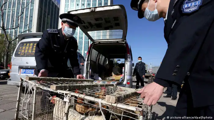 China Zwei Chengguan konfiszieren Hühner als Vorbeugung gegen die Vogelgrippe