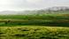 Iran Masoud Abad Lorestan Iran Masoud Abad Lorestan