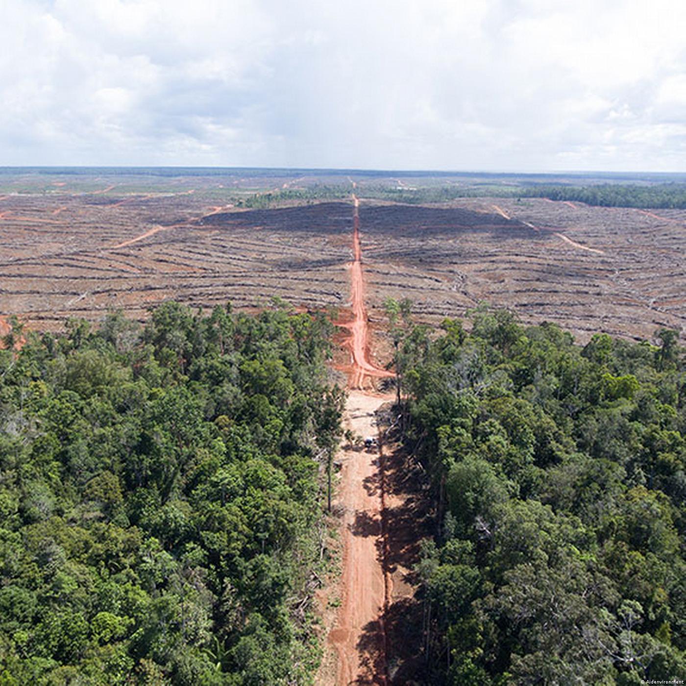 Living Planet: Here today, gone tomorrow?