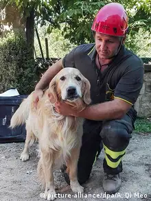 Italien San Lorenzo - Hund Romeo 10 Tage nach Erdbeben unter Schutt geborgen