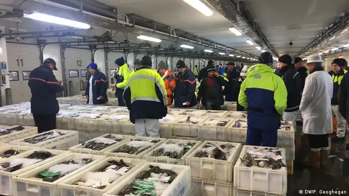 Schottland Fischerei-Industrie Fischmarkt in Peterhead