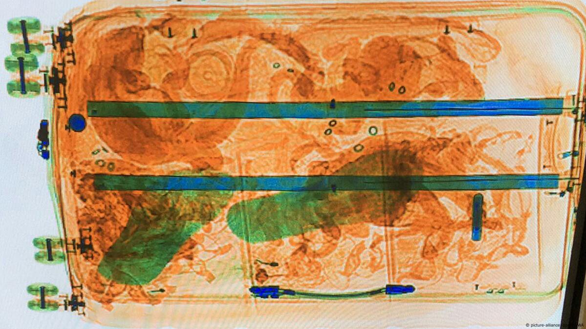 Snakes, aand lizards, on a plane DW 09/06/2016