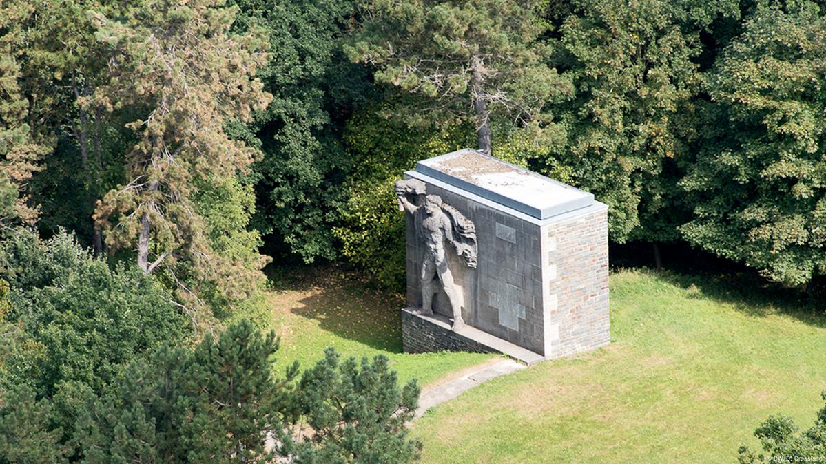 The mysterious Nazi trees that grow into swastika in a German