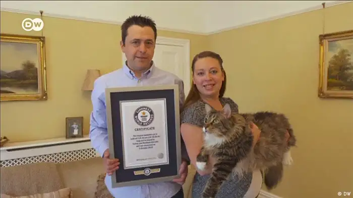Screenshot DW Guinness Buch der Rekorde Katze Lizzy