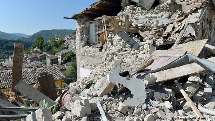 Symbolbild Kater Pietro 16 Tage nach Erdbeben lebend geborgen
