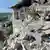 Symbolbild Kater "Pietro" 16 Tage nach Erdbeben lebend geborgen