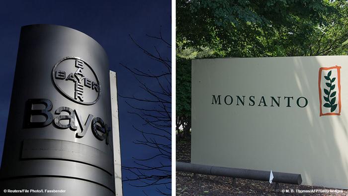 Bild-Kombo Bayer Monsanto