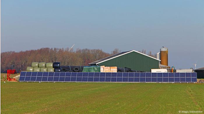 Farm in the Netherlands