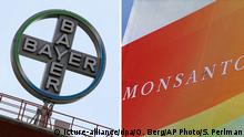 Німецький гігант агрохіму Bayer завершив історичне поглинання Monsanto