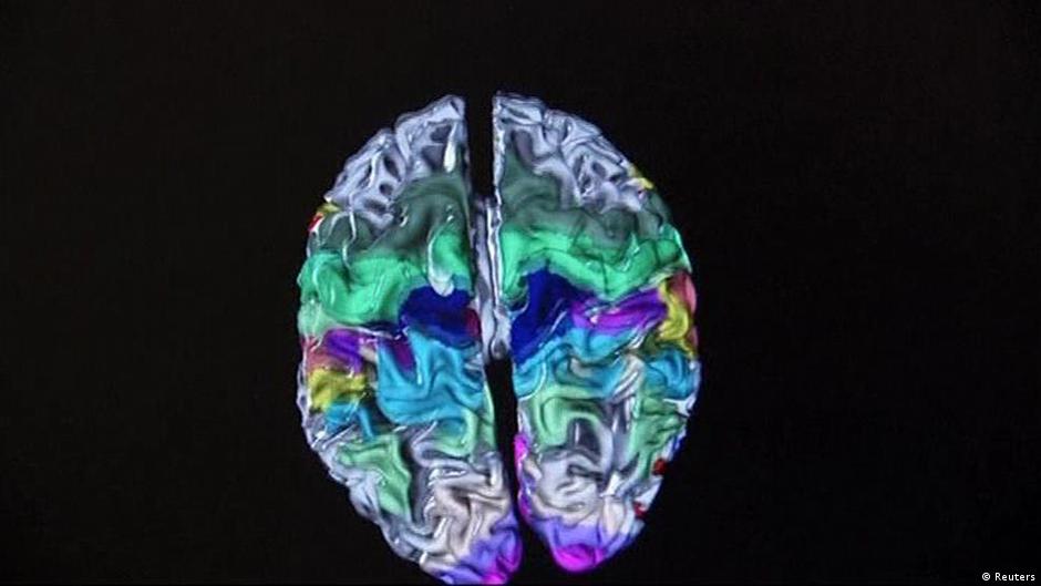 Why do we only use a fraction of our brain?